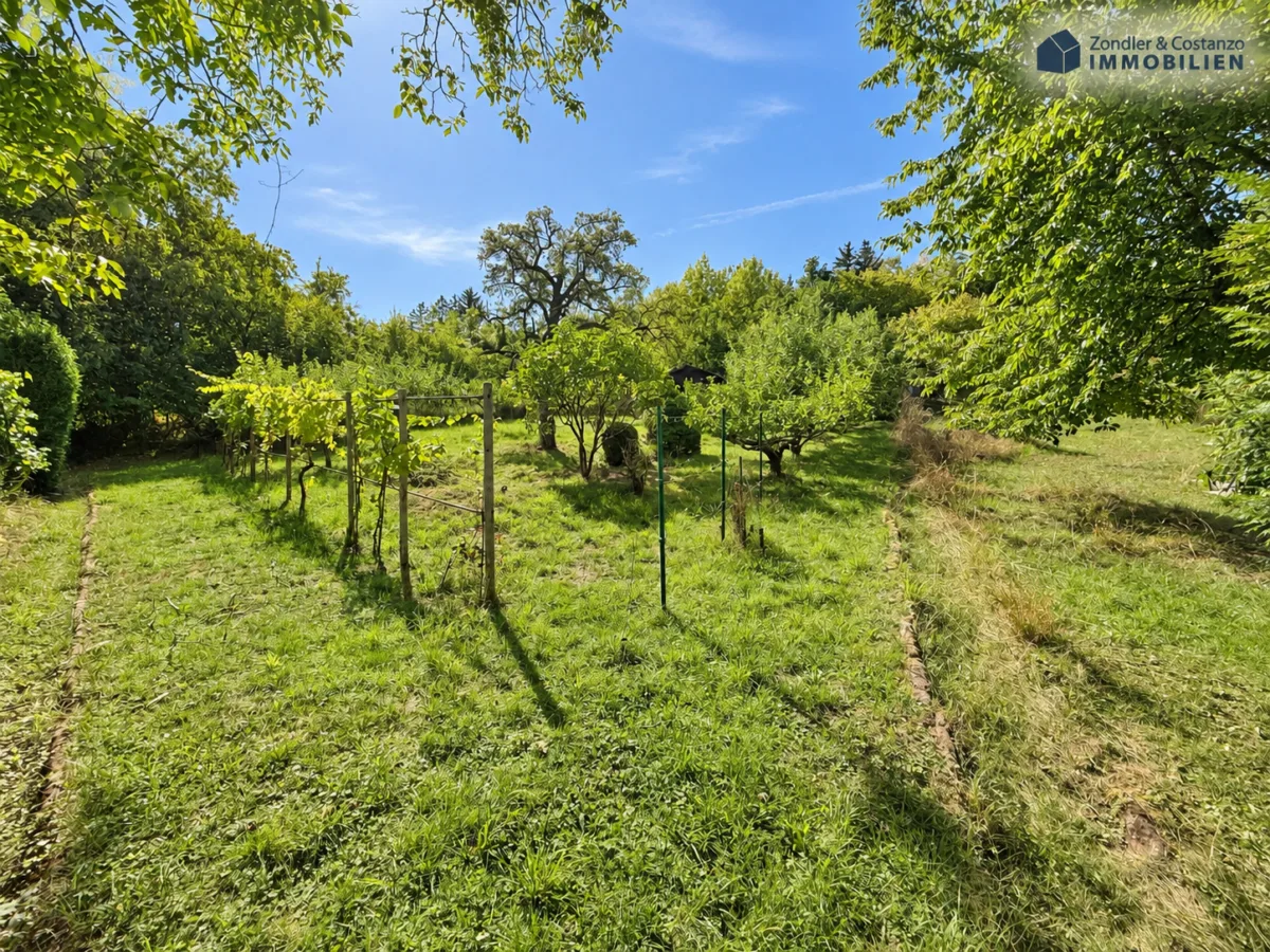 D-12
